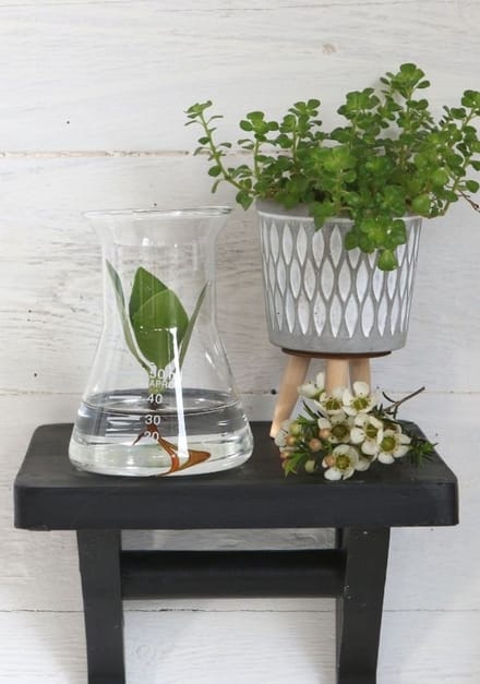 Laboratoriumglastrechter Ø 8cm en 11cm hoog (1 pc)
