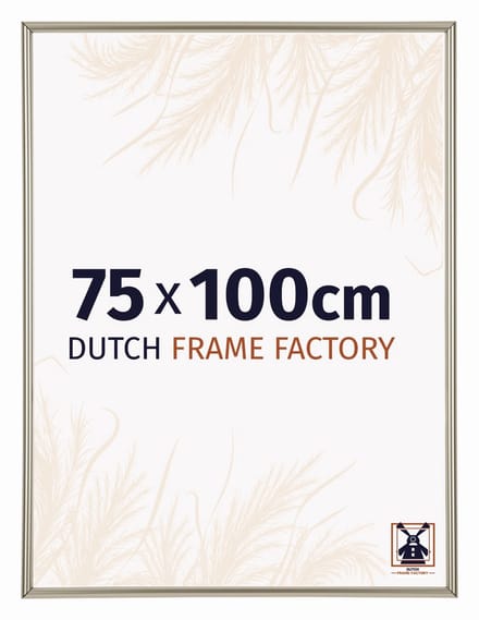 Fotolijst 75x100 cm - Kunststof - Champagne - Angers