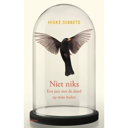 Niet Niks - Hiske Dibbets