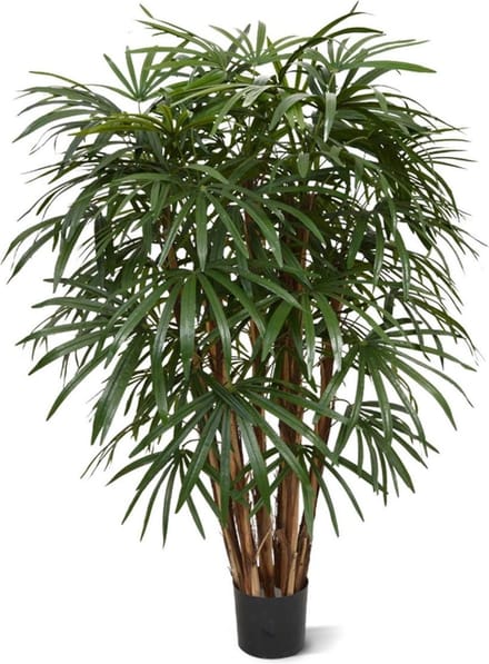Designplants Raphis Palm XL Kunstplant 130