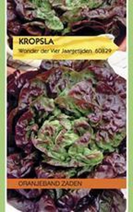 Kropsla Wonder der Vier Jaargetijden