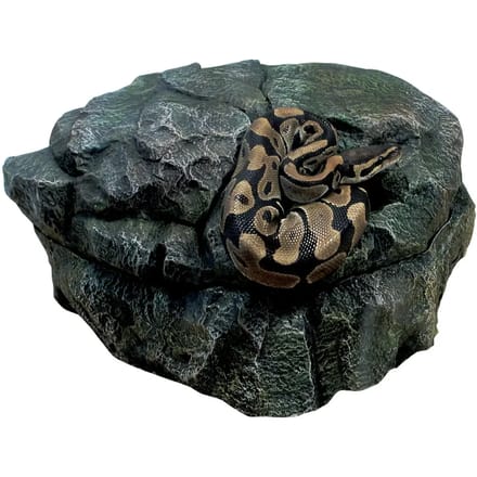 Reptielen schuilplaats Zoomed Shelter
