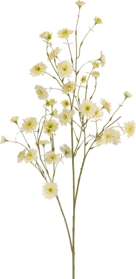 Kunst Korenbloemtak 100cm Creme