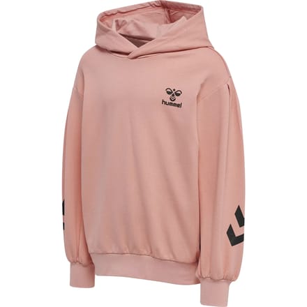 Hummel kinderhoodie Hmldue 213903