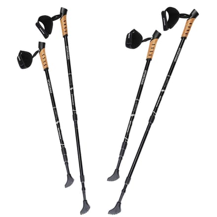 Nordic Walking Stokken – Telescopisch – 2 Paar – Grijs