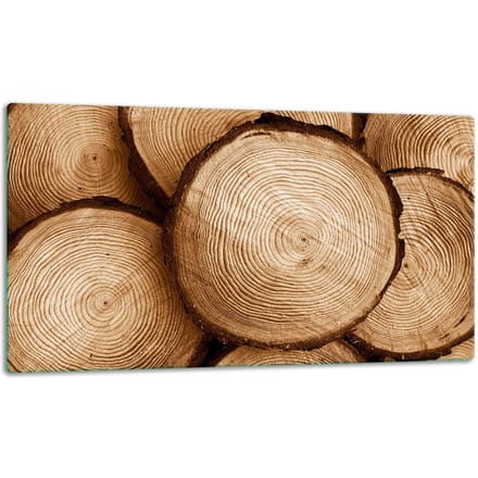 TMK ArtDeko - Snijplank - Glasplaat - 52x30cm - Inductiebescherming