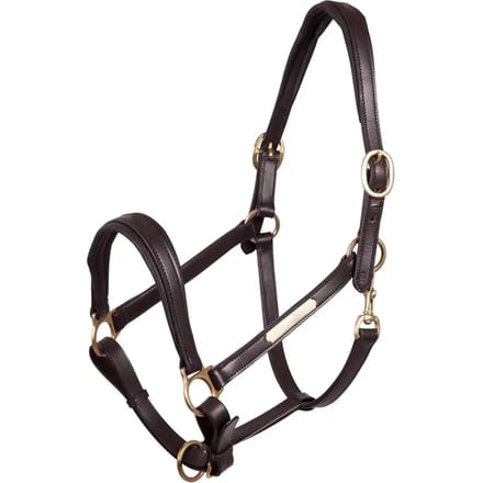 Leren halster voor paarden Premiere Equitation