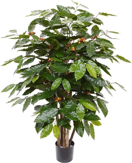 Coffee Arabica kunstplant 100cm