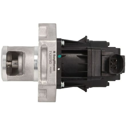 Borg Warner EGR-klep WAHLER 712075D