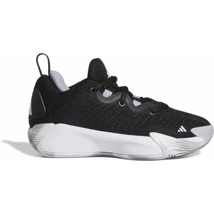 Basketbalschoenen voor kinderen adidas Initiation