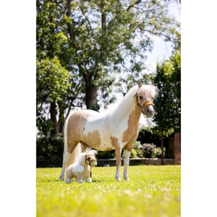 Accessoire voor Hobby Horse LeMieux Lemon
