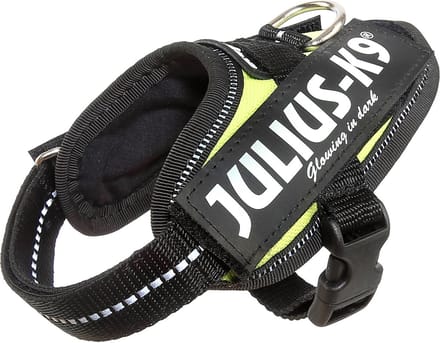 Julius-K9 IDC®Powertuig, 3XS - Baby1, neon