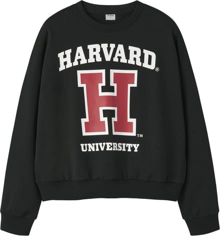 NAME IT - TAFT COLLEGE LO SHO SWE BRU BOX NOOS SKY - Dames - Sweaters
