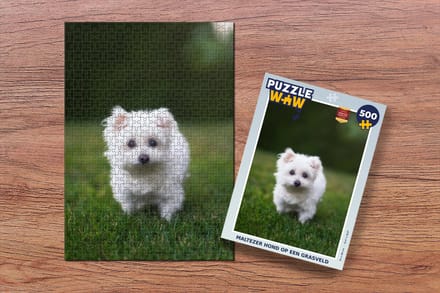 Puzzel Maltezer hond op een grasveld - Legpuzzel - Puzzel 500 stukjes