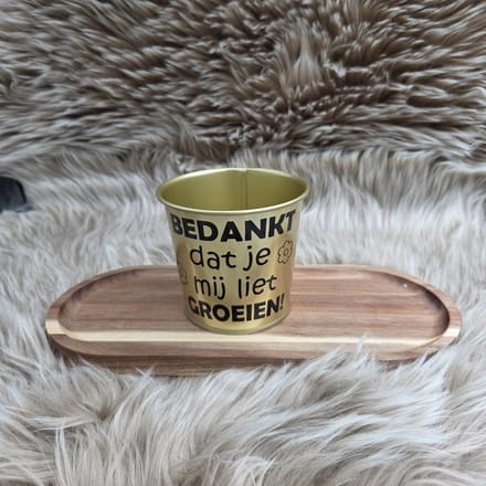 Gouden Bloempot – Bedankt Dat Je Mij Liet Groeien – Cadeau Juf/Meester – Afscheid schooljaar