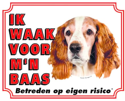 Welsh Springer Spaniel Waakbord - Ik waak voor mijn Baas
