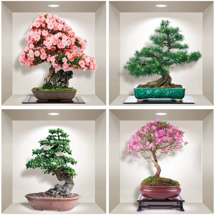3D bonsai stickers van de 4 seizoenen, 60 x 60 cm