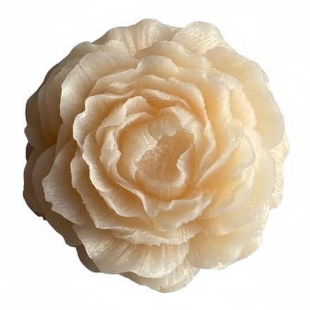 Corios Geurwax Bernstein Rose Vanilla 8x8x3cm