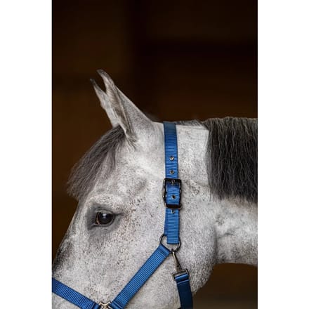 Nylon paardenhalster HFI
