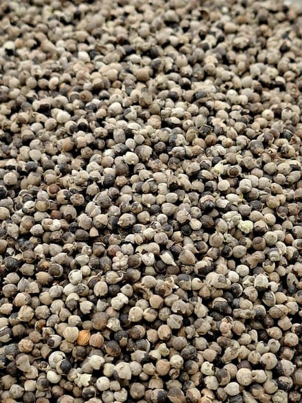 Monnikspeper (Vitex agnus castus)100g