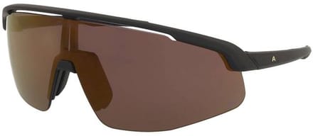 Zonnebril Alpina Turbo Pro Q Black Matt/Gold Mirror