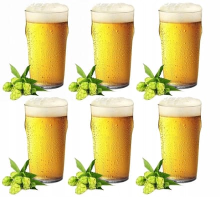 Glasmark Bierpullen 550 ml - Set van 6 hoge glazen