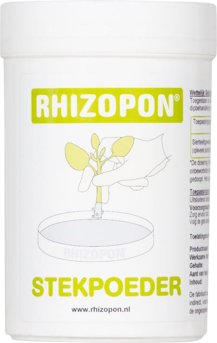RHIZOPON CHRYZOTOP GROEN STEKPOEDER 0.25% 25 GRAM