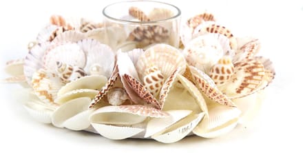 Countryfield Theelichthouder 8,5 cm met schelpen