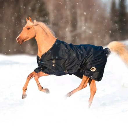 Outdoor paardendeken HorSeven 0g