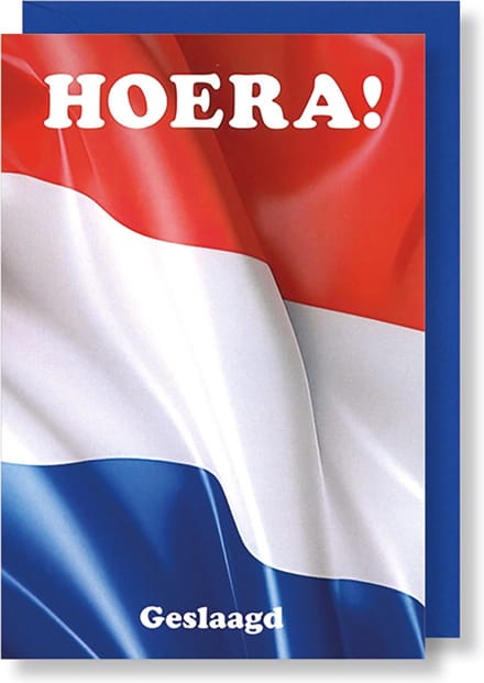 MGPcards - 6 Wenskaarten met gekleurde envelop - Geslaagd - Gefeliciteerd - 11,5 x 17 cm
