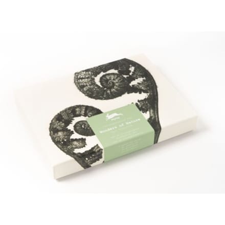 Wonders Of Nature - Correspondence Set - Pepin van Roojen