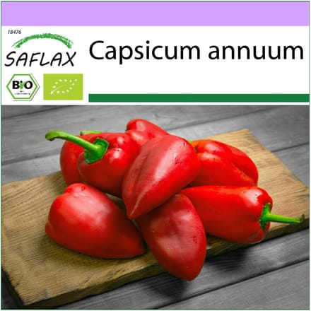 SAFLAX - Bio - Piment Fort - Barak - 15 graines - Capsicum annuum