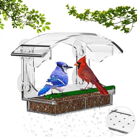 Solidchoice - Transparante Raamvoederhuis voor Vogels met Zuignappen