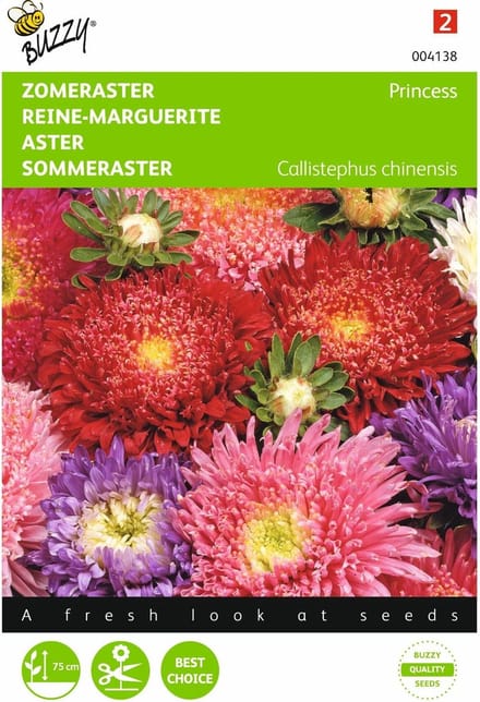 2 stuks Callistephus, Zomeraster Prinses gemengd