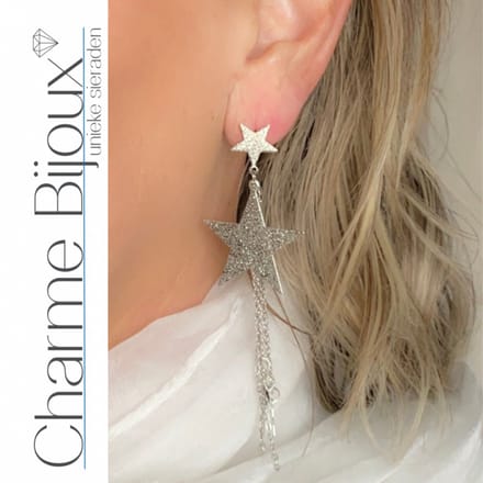 Lange oorbellen- Ster- Zilverkleur - Charme Bijoux