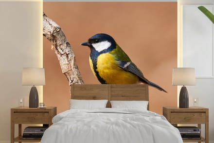 Behang - Fotobehang Vogel - Koolmees - Takken - Breedte 220 cm x hoogte 220 cm