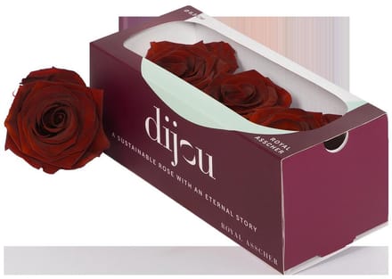 3x Dc pres.rozen dark amber