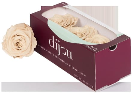 3x Dc pres.rozen sand