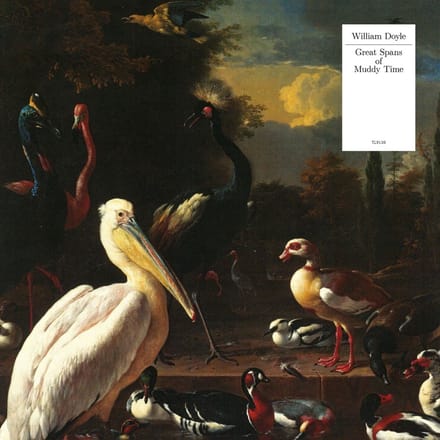 William Doyle - Great Spans Of Muddy Time (CD)
