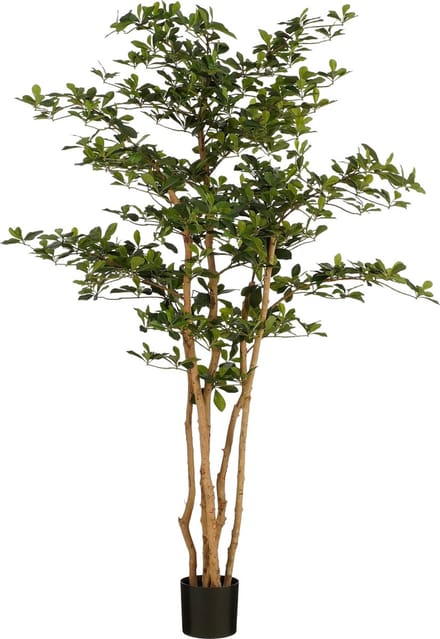 Mica Decorations Kunstplant Olijfboom in Pot - H183 x Ø130 cm - Groen