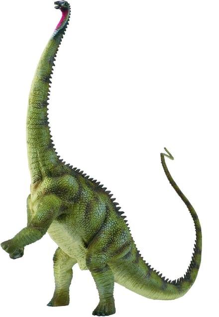 COLLECTA Figurine - Diplodocus - (Xl) - Prehistorie - Handgeschilderd - Dinosaurus - Miniatuur