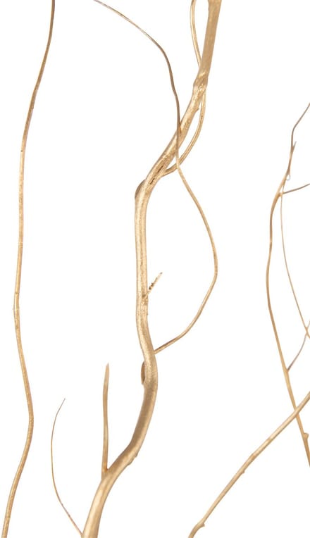 J-Line decoratie tak Droogbloemen - riet - goud - large - 6 stuks