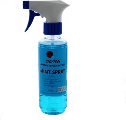 Cai-pan Uiermintspray 250ml