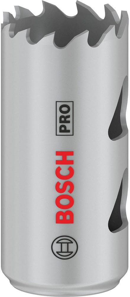 Bosch Accessories 2608901497 2608901497 Gatenzaag 24 mm 1 stuk(s)