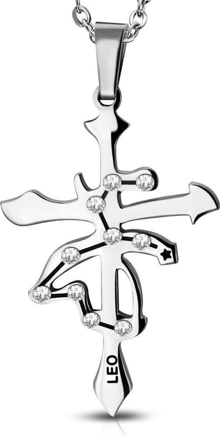 Amanto Ketting Leeuw - 316L Staal - Horoscoop - 30x20mm - 50cm