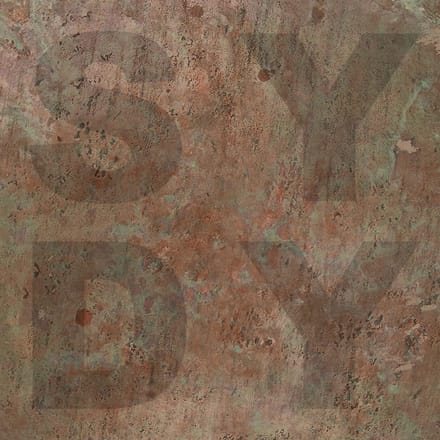 Shiny Darkly - Bronze (LP)