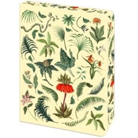 The Fern Journal - Arcturus Vintage Journals - Arcturus Publishing Limited