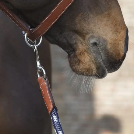 Koord voor paardrijden Antarès