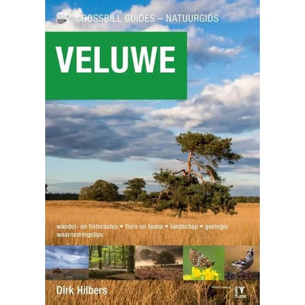 Veluwe - Crossbill Guides - Dirk Hilbers