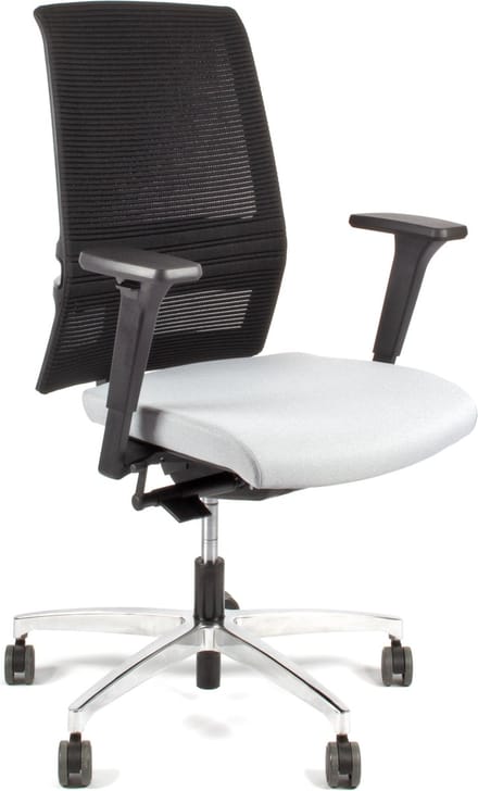 Linea Omnia 01 - Bureaustoel - Ergonomisch EN1335 - Multi verstelbaar- Zwart/Grijs